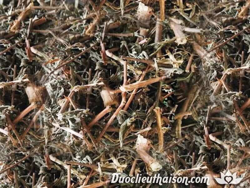 Sản phẩm cây rau mương khô đóng gói từ Thái Sơn được đánh giá cao về chất lượng